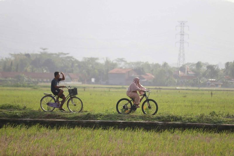 Woman cycling through lush rice fields in Bali