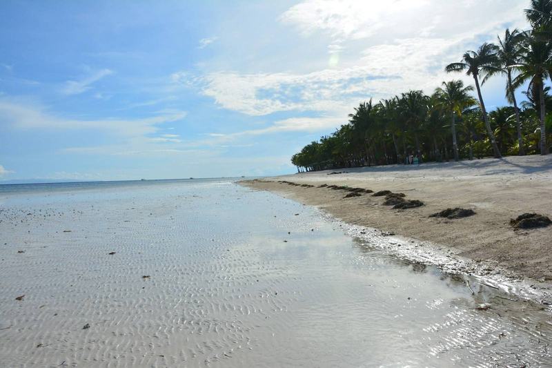 Quiet white-sand beach at low tide in Bohol, Philippines framed by palm trees and calm sea