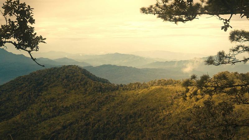 Trekking trail in Northern Thailand with jungle and mountain views